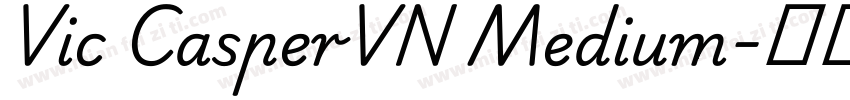 Vic CasperVN Medium字体转换